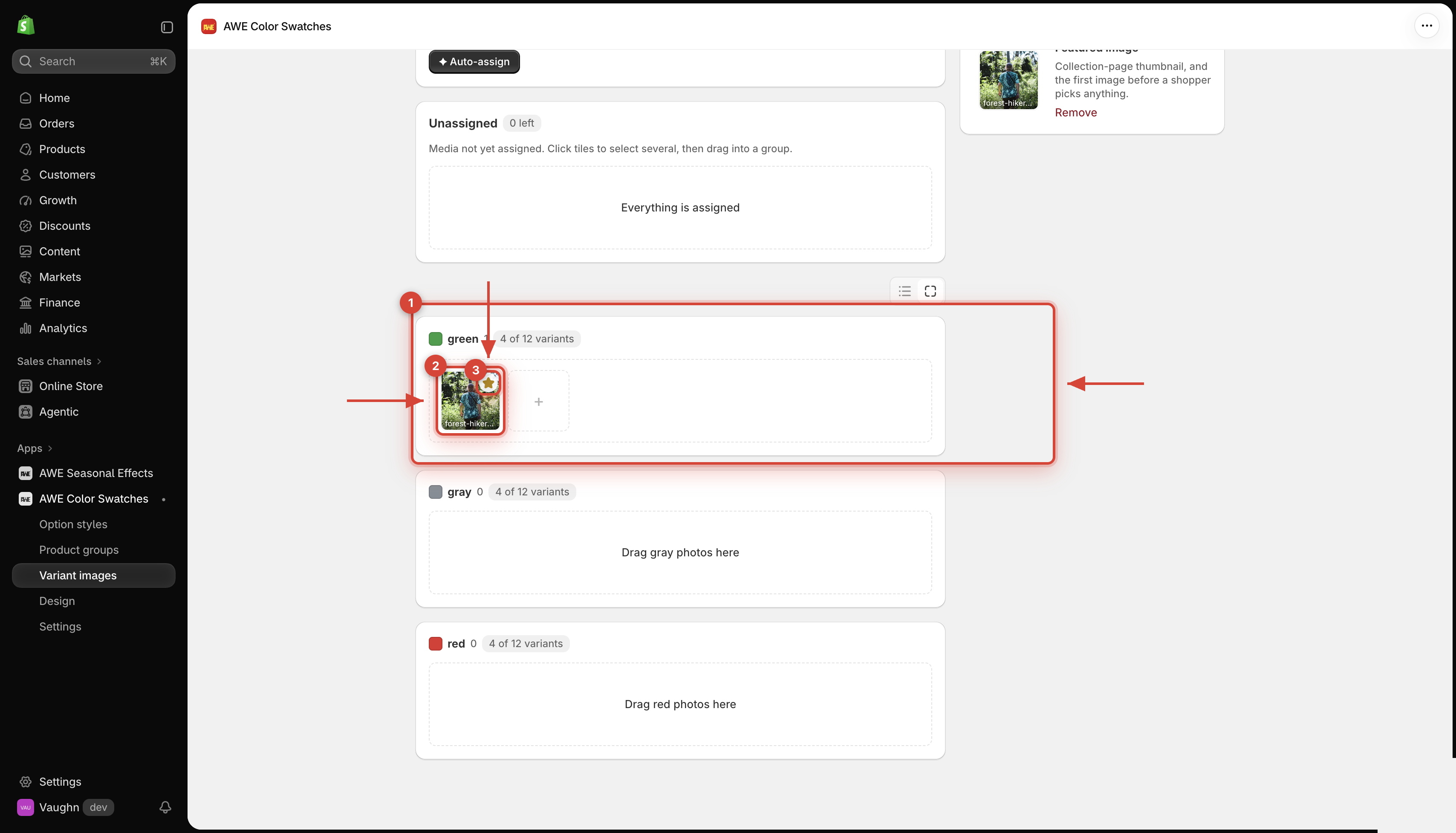 Photos sorted into color groups after Auto-assign